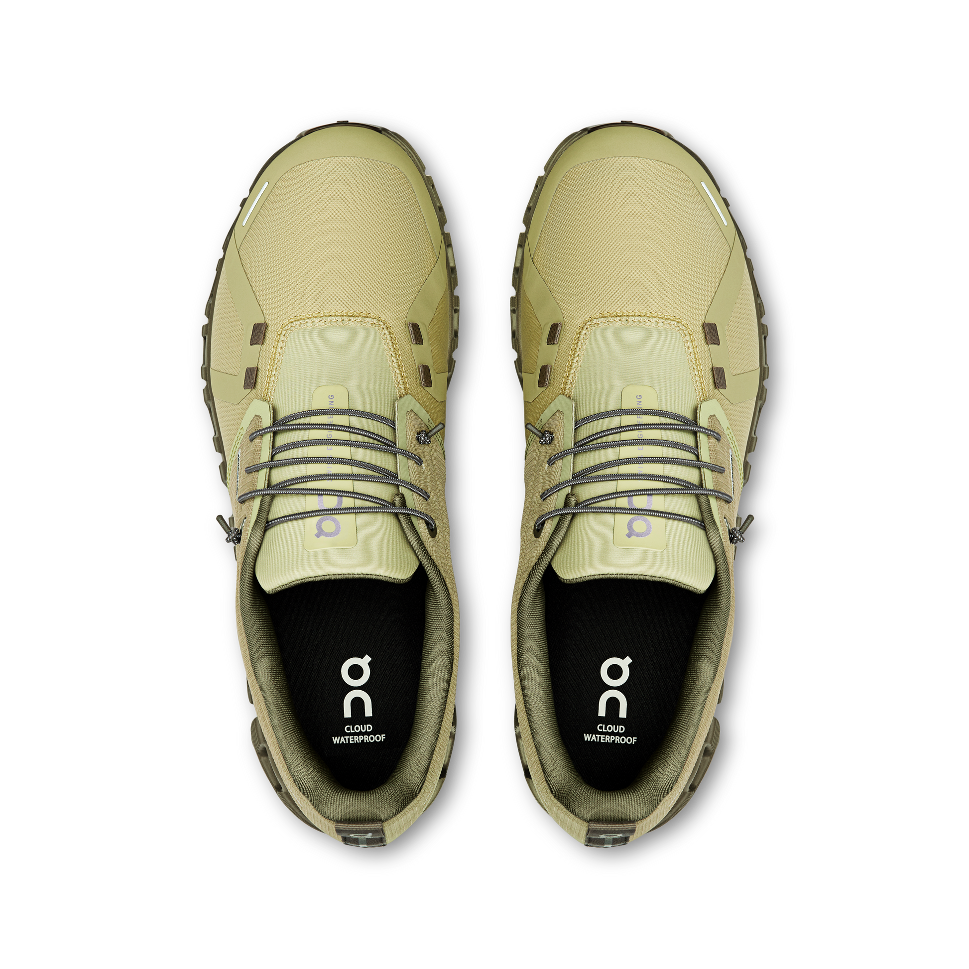 On Cloud 6 WP - Caper | Grove