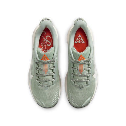 Nike ACG Pegasus - Jade Horizon/Phantom Light Silver