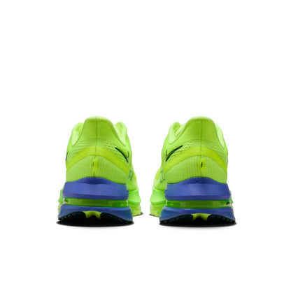 Nike Pegasus Premium - Volt Ice/Black Spruce/Lime Blast
