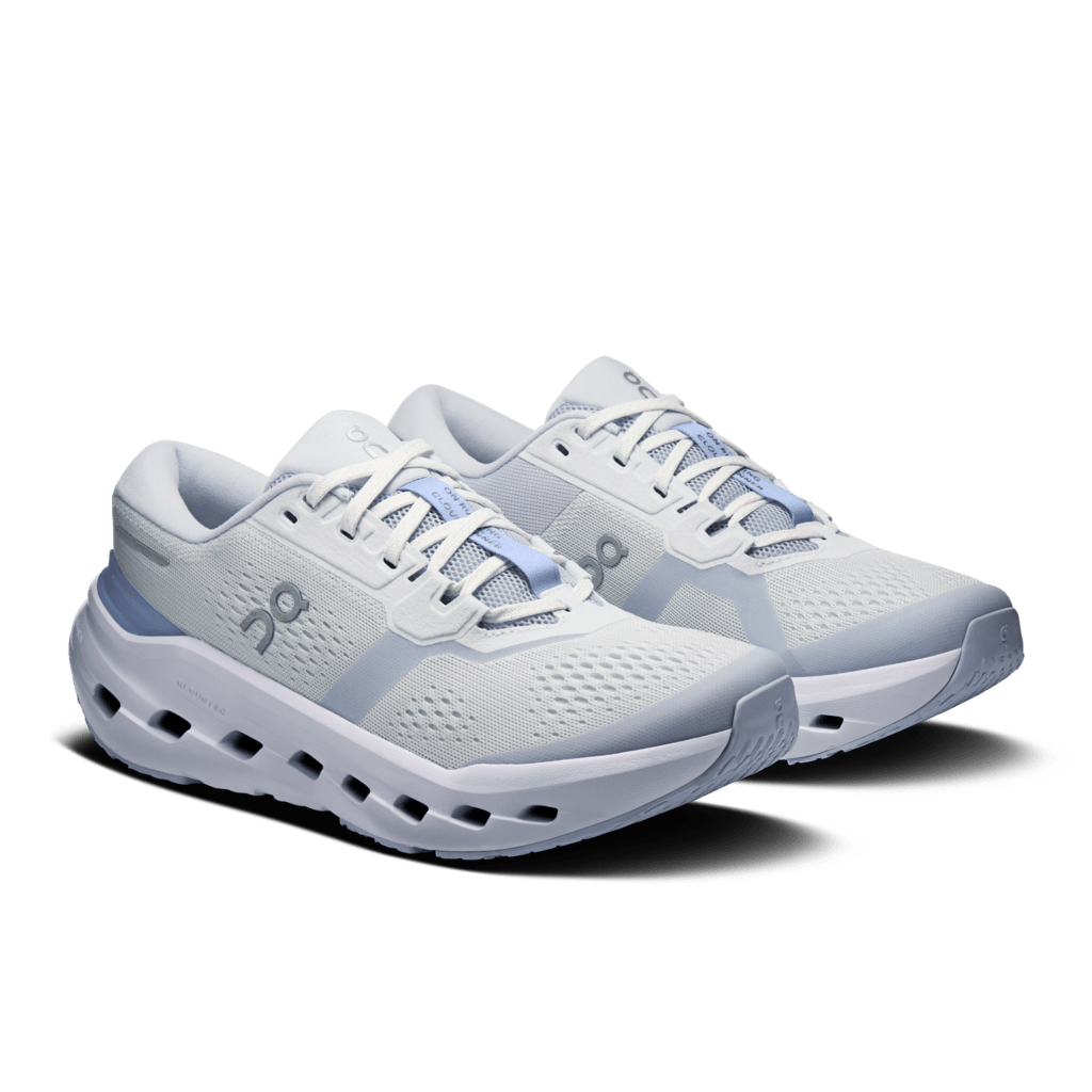 On Cloudrunner 3 - Heather/Marsh