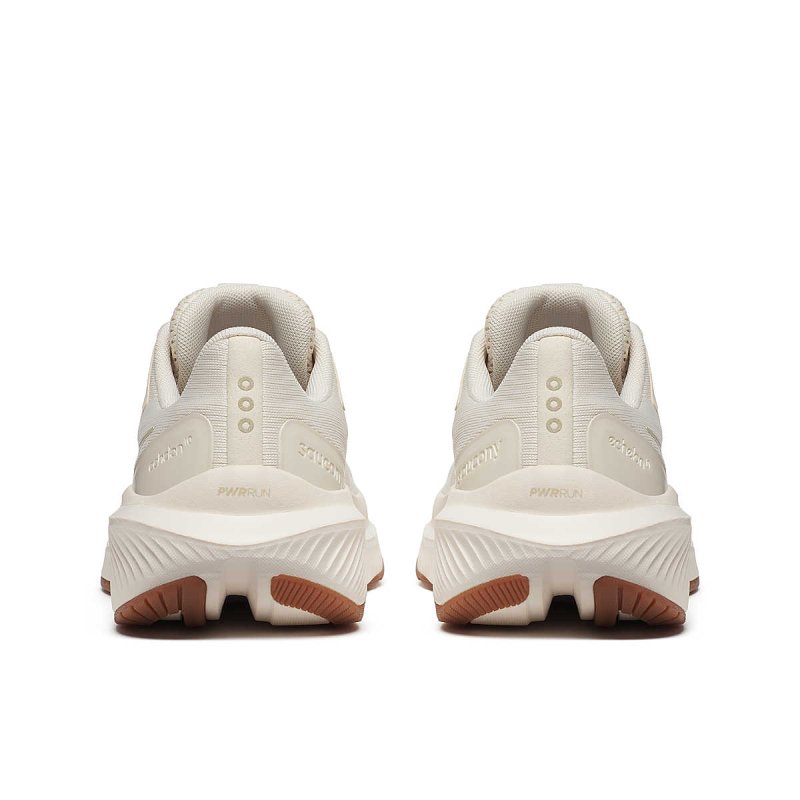 Saucony Echelon 10 - Rye/Gum